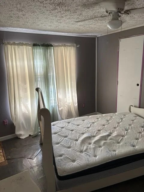 126 Redick Road Wartburg, TN 37887 - Photo 15 of 28