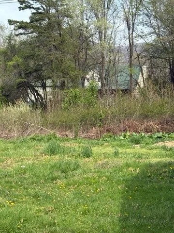 126 Redick Road Wartburg, TN 37887 - Photo 28 of 28