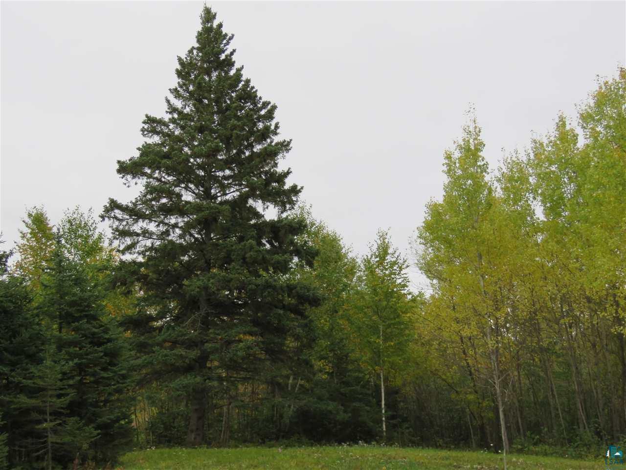 16 Isak Ridge Lutsen, MN 55612 - Photo 8 of 31