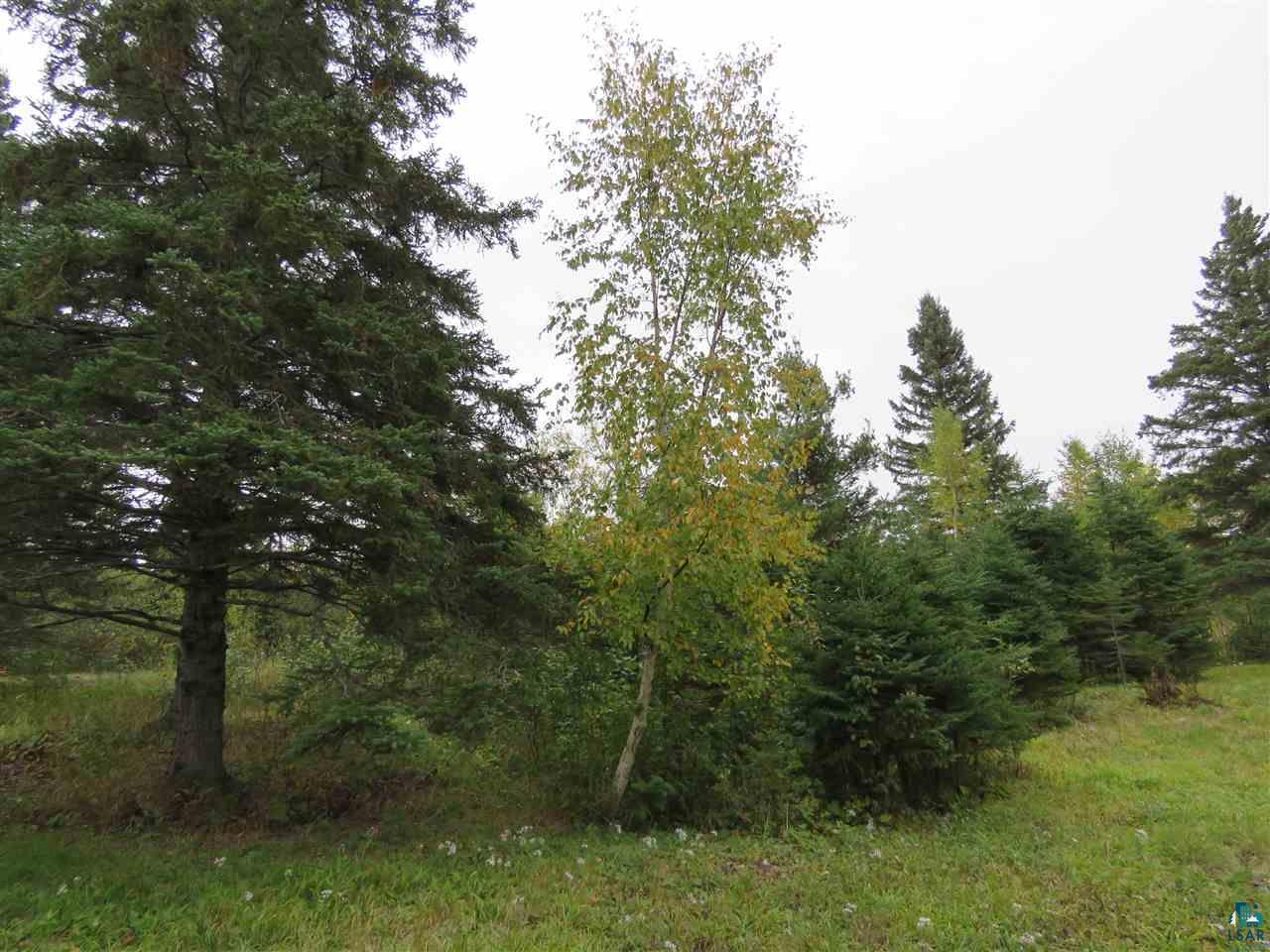 16 Isak Ridge Lutsen, MN 55612 - Photo 9 of 31
