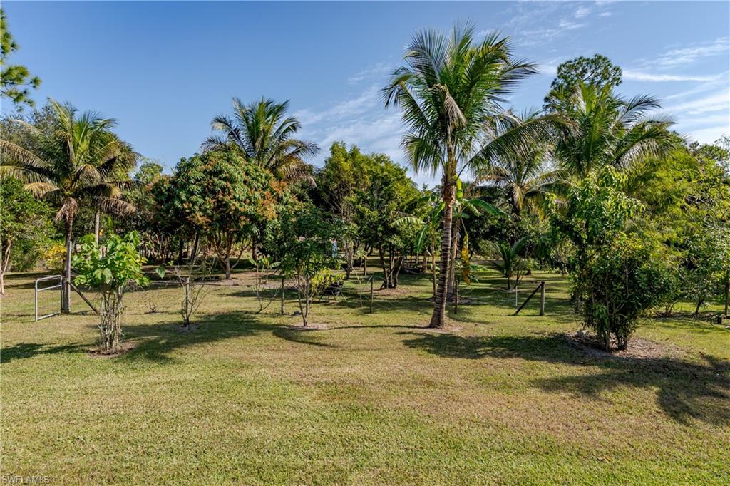 510 13th Street Northwest Naples, FL 34120 - Photo 8 of 50 a view of swimming pool with a garden