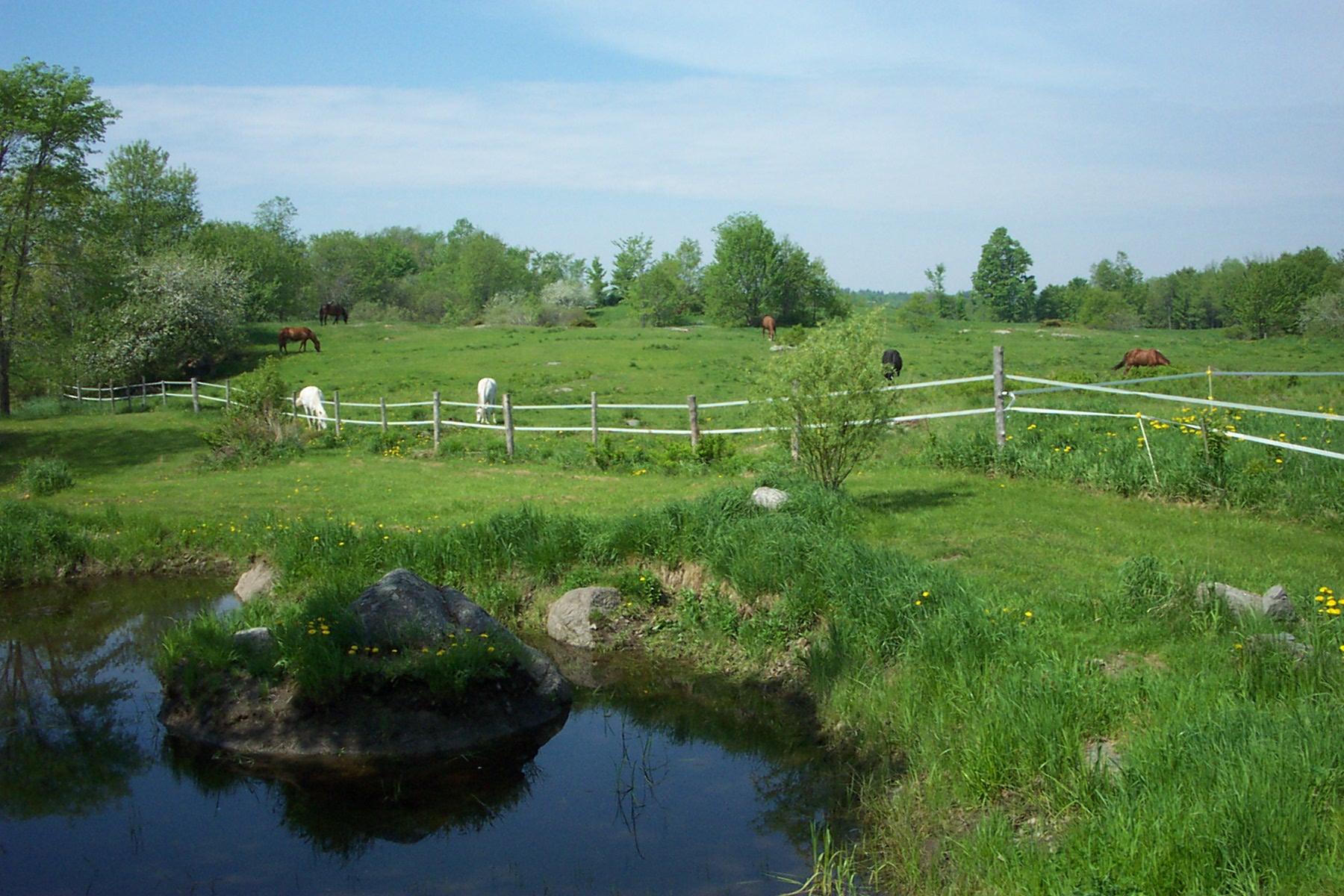 2420 Burkettville Road Appleton, ME 04862 - Photo 32 of 34 back springtime