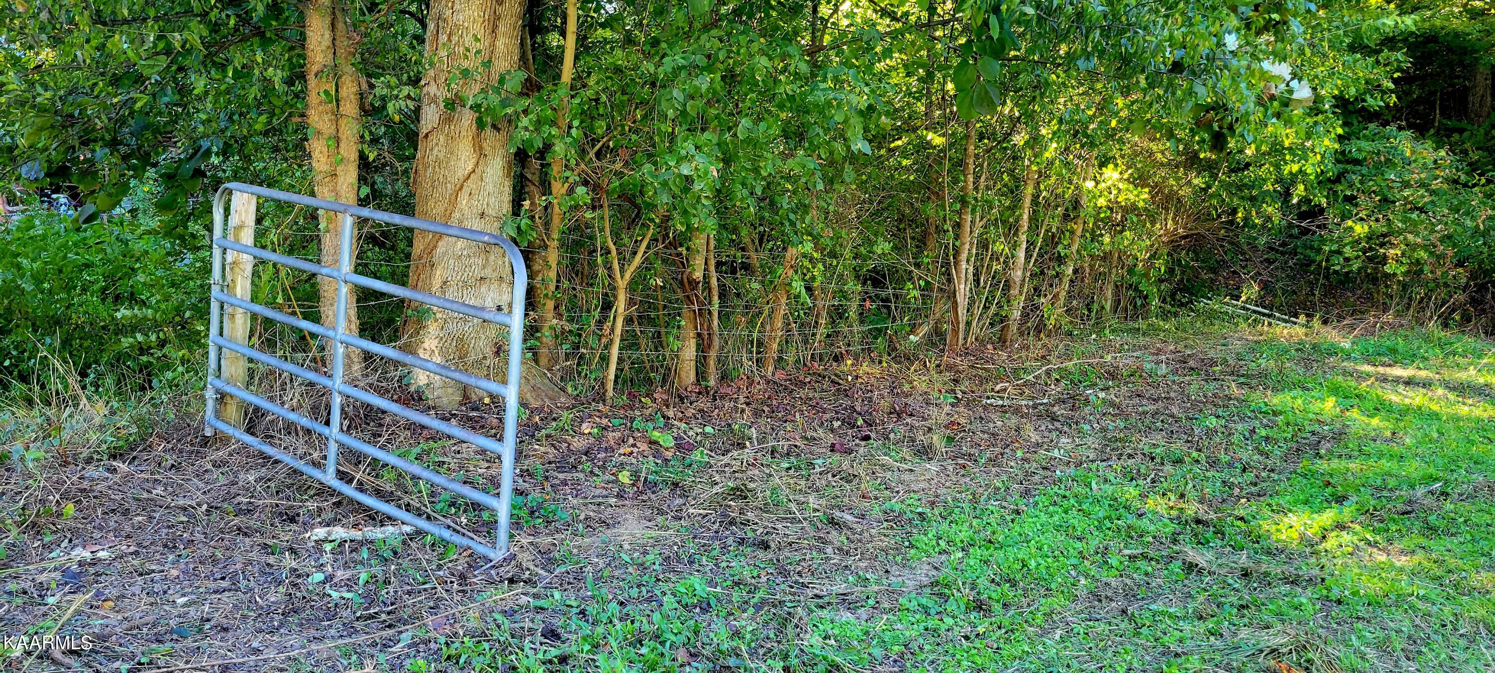 230-3 Reagan Branch Road Seymour, TN 37865 - Photo 1 of 29 20220926_170418