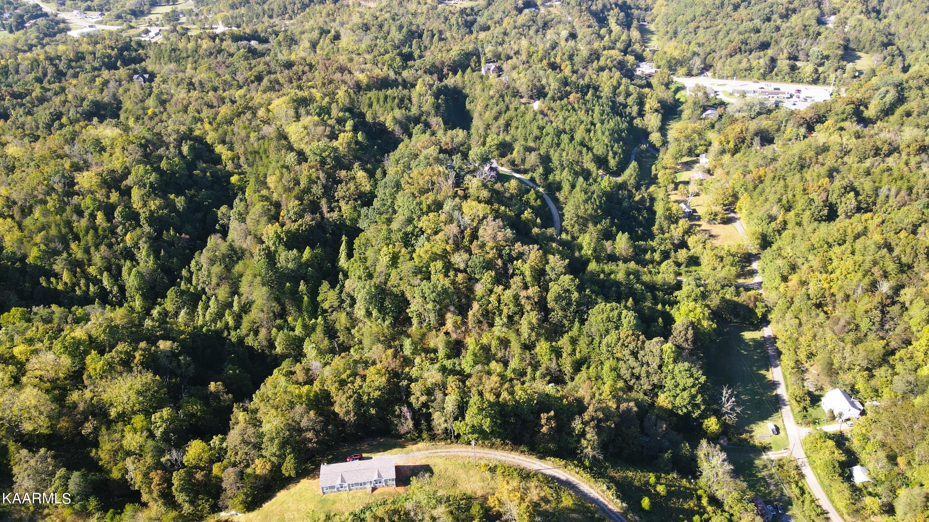 230-3 Reagan Branch Road Seymour, TN 37865 - Photo 17 of 29 DJI_0955