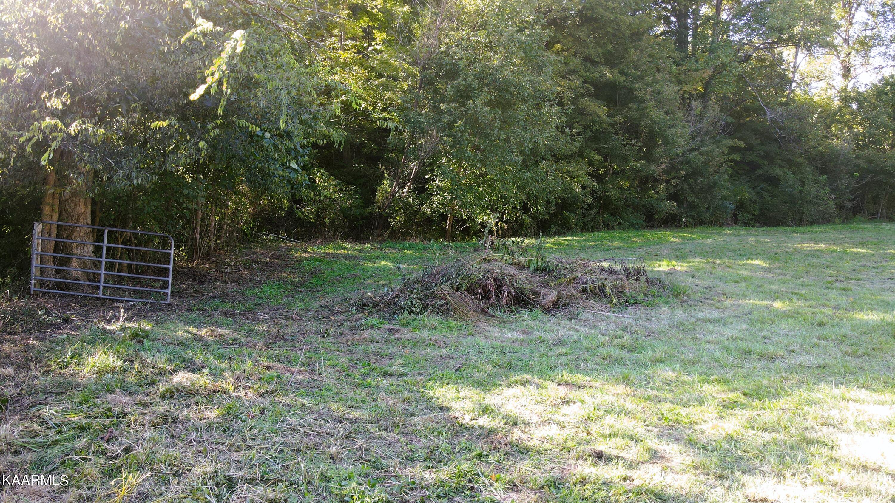 230-3 Reagan Branch Road Seymour, TN 37865 - Photo 25 of 29 Start here