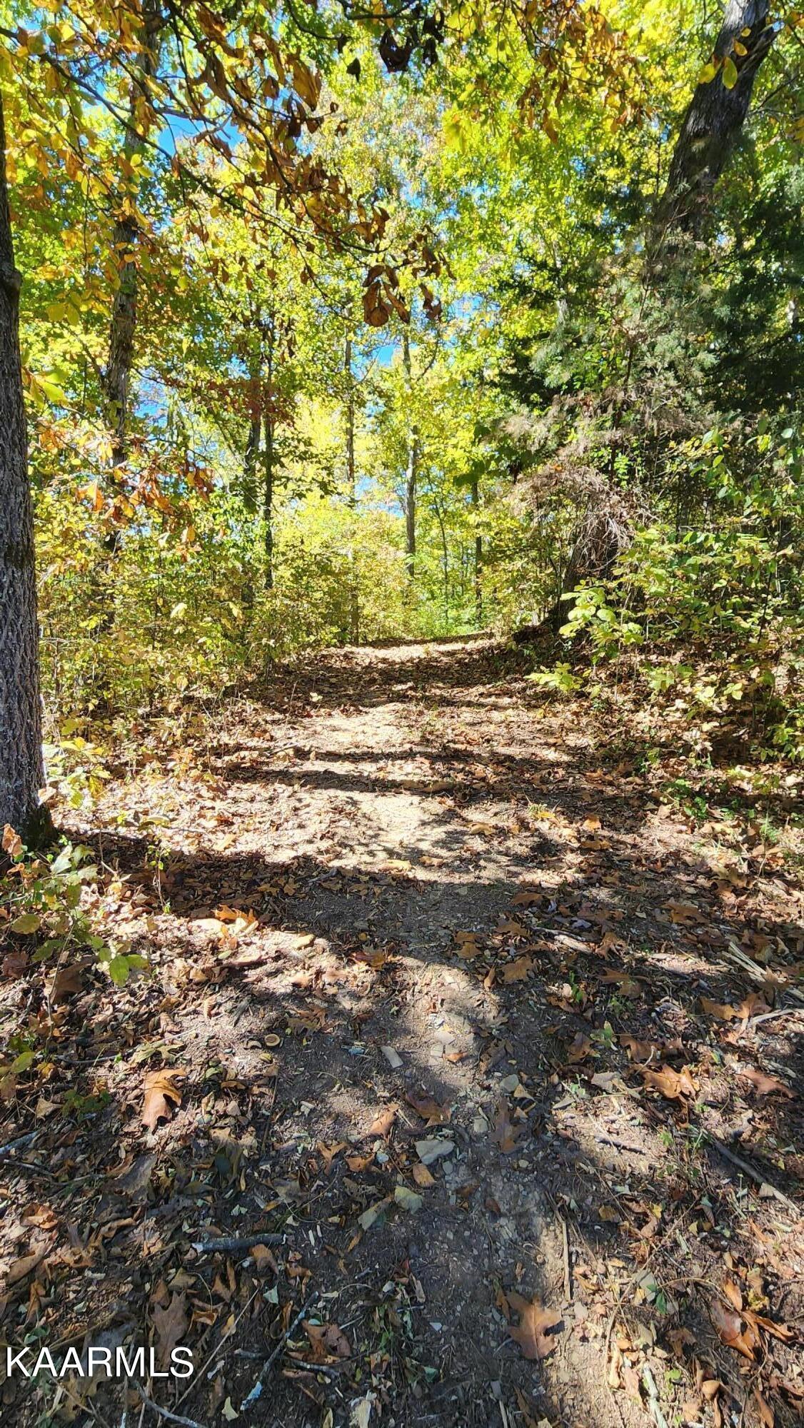 230-3 Reagan Branch Road Seymour, TN 37865 - Photo 26 of 29 20221006_123133