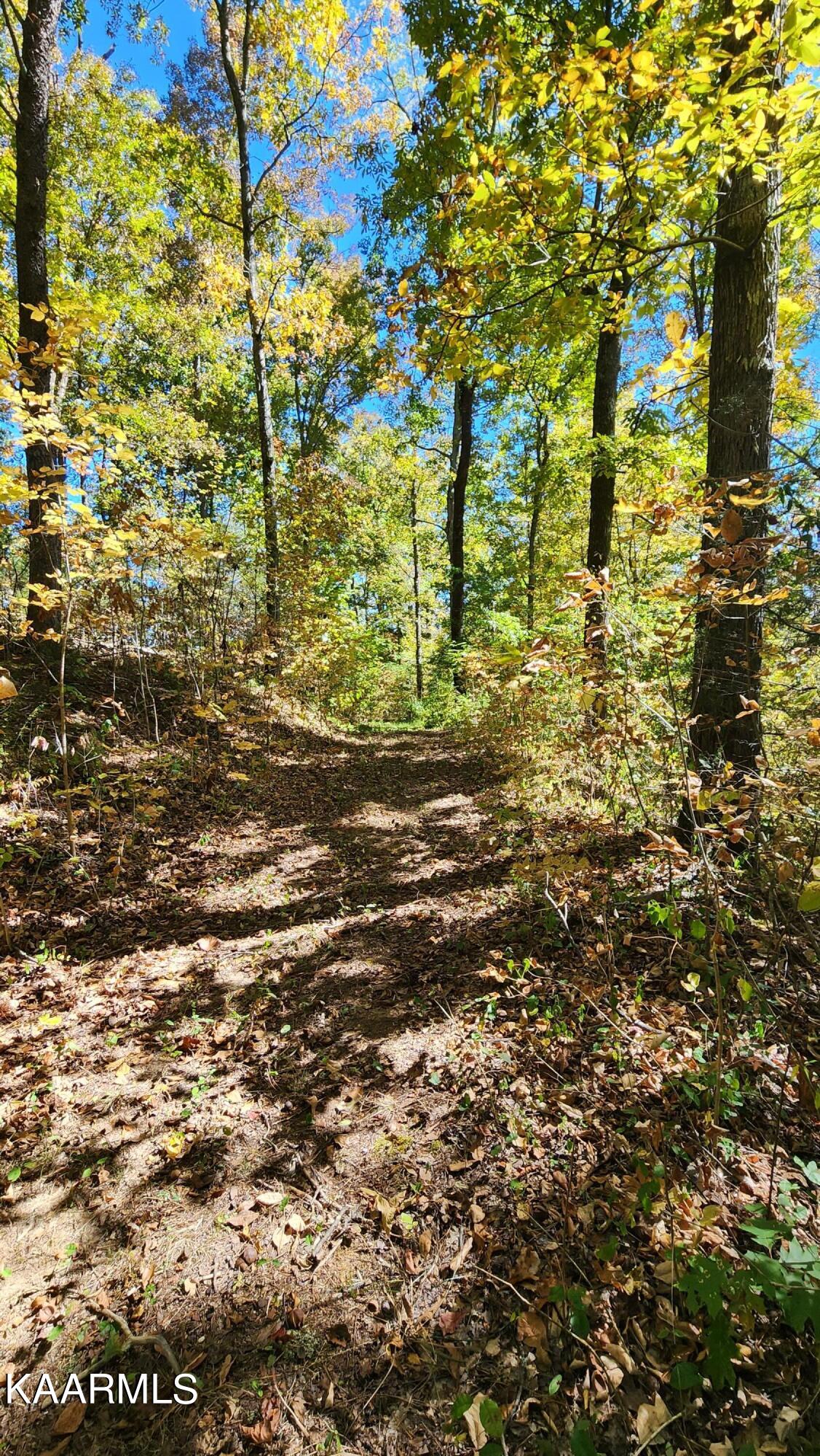 230-3 Reagan Branch Road Seymour, TN 37865 - Photo 27 of 29 20221006_123309