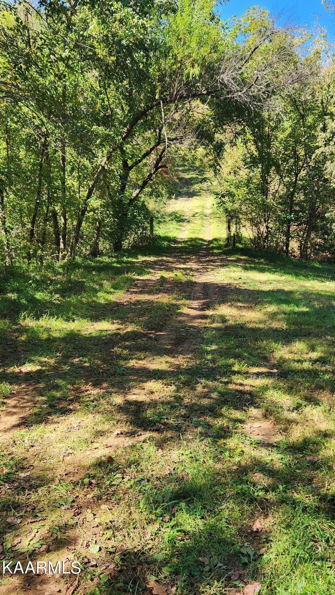 230-3 Reagan Branch Road Seymour, TN 37865 - Photo 29 of 29 20221006_123858