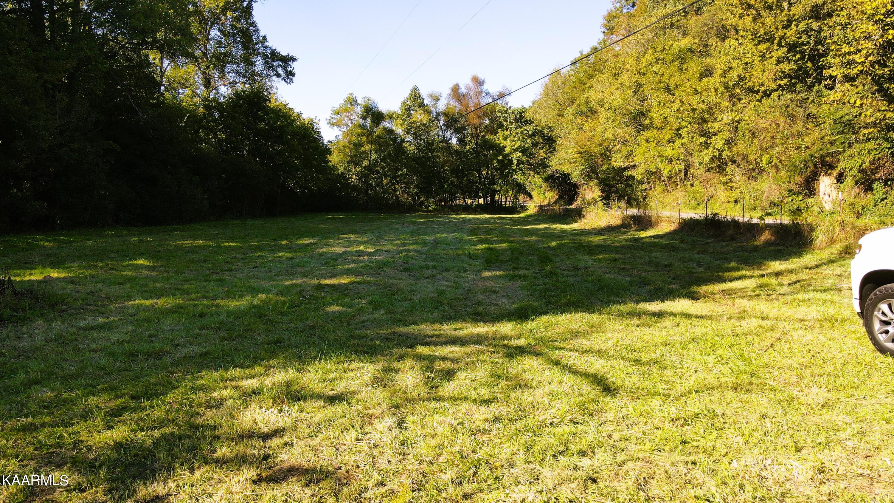 230-3 Reagan Branch Road Seymour, TN 37865 - Photo 4 of 29 DJI_0946