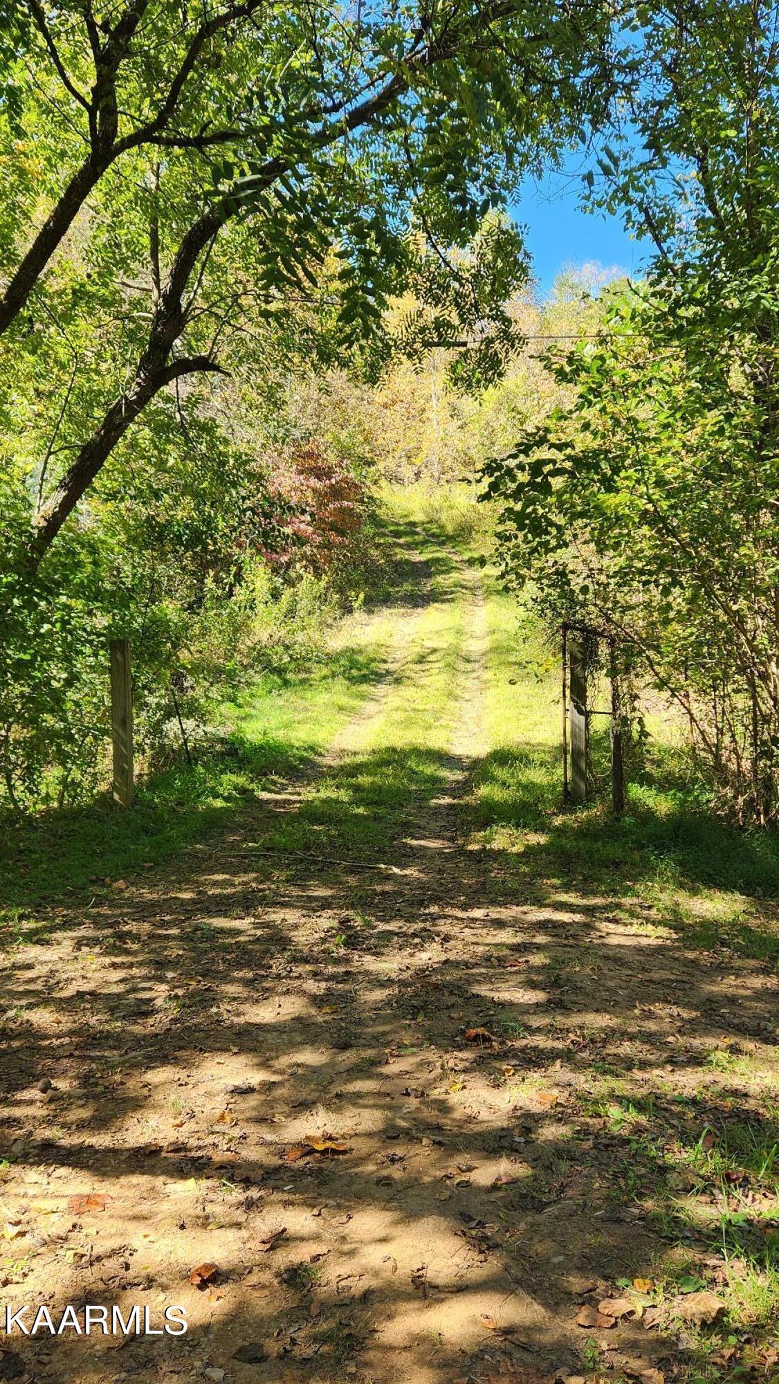 230-3 Reagan Branch Road Seymour, TN 37865 - Photo 5 of 29 20221006_123913