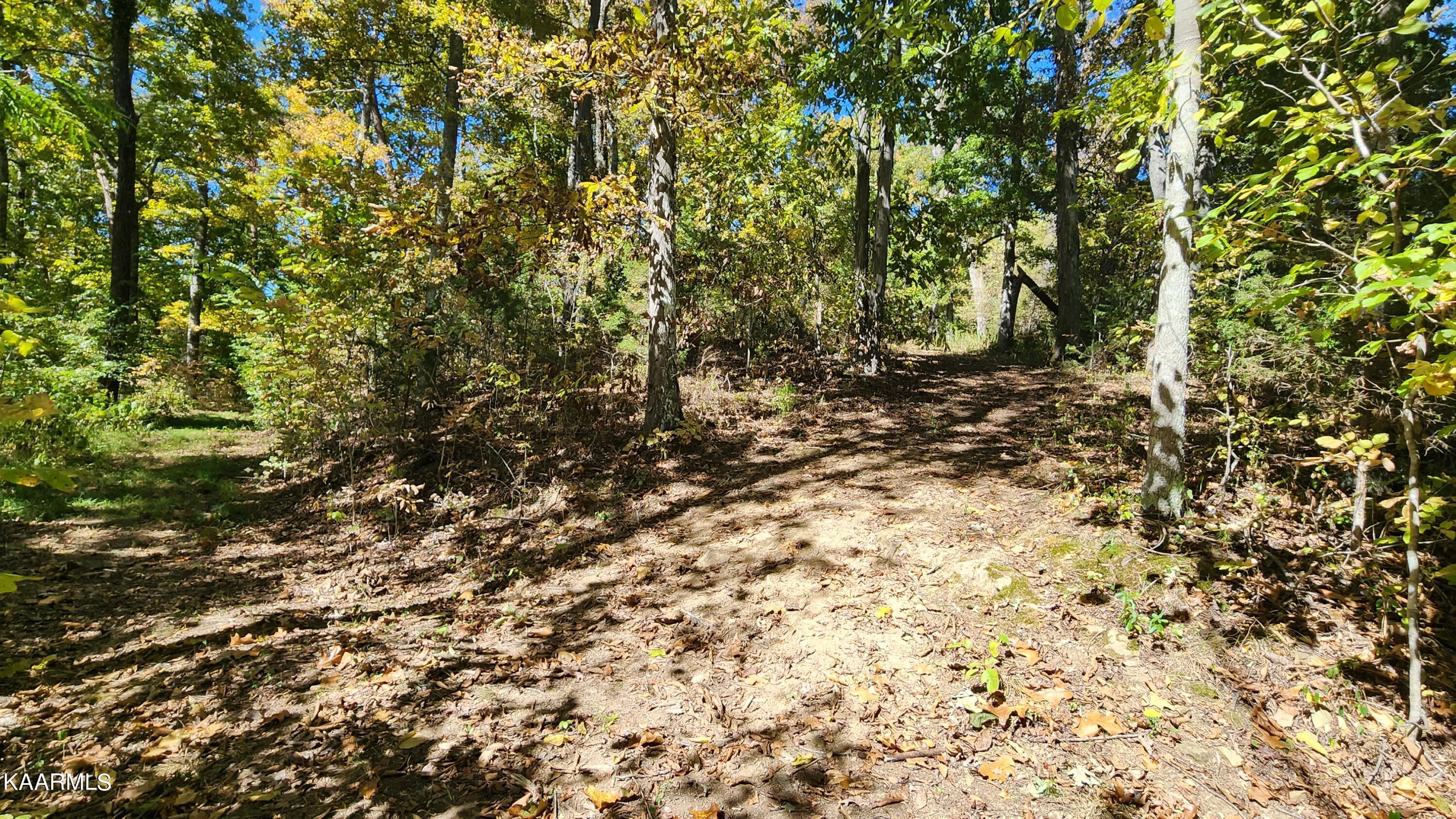 230-3 Reagan Branch Road Seymour, TN 37865 - Photo 6 of 29 20221006_123203