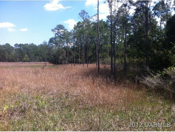 0 State Road Pierson, FL 32180 - Photo 5 of 7 Additional Photo