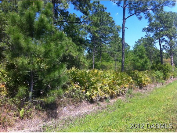 0 State Road Pierson, FL 32180 - Photo 7 of 7 Additional Photo