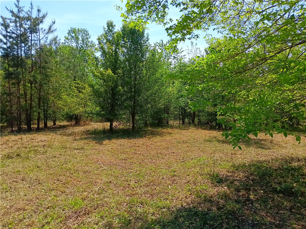 -l-1 Hickory Cove Road Seneca, SC 29672 - Photo 3 of 8 A spacious, cleared lot offers a serene setting surrounded by lush greenery and peaceful sounds of nature.