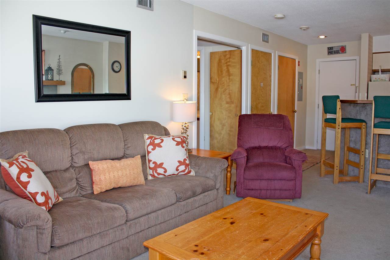 350 Mountain Road, Unit B301 Ludlow, VT 05149 - Photo 10 of 18