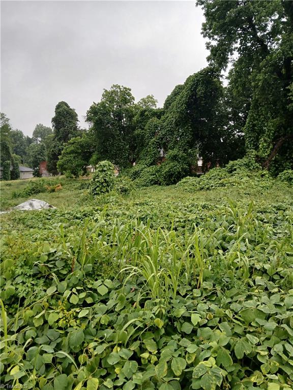 1409 Winston Road Lexington, NC 27295 - Photo 4 of 7