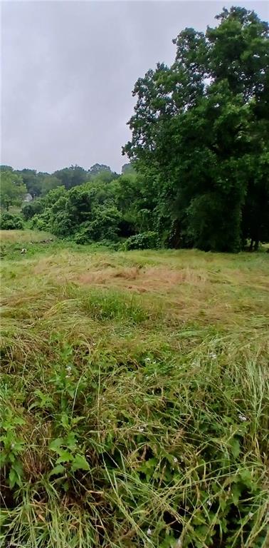 1409 Winston Road Lexington, NC 27295 - Photo 5 of 7