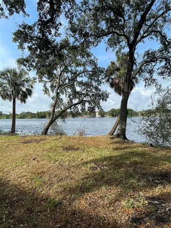 a picture of trees with wooden fence
