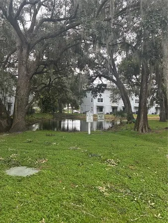 a view of a trees in a yard