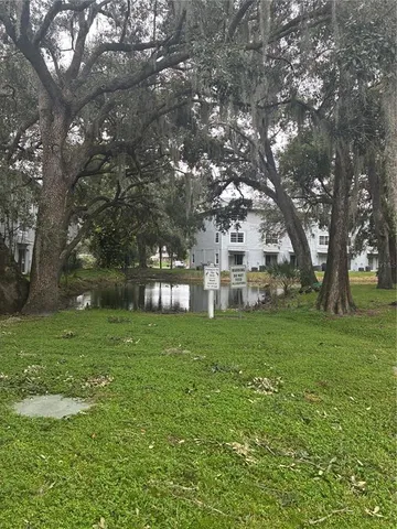a view of a trees in a yard