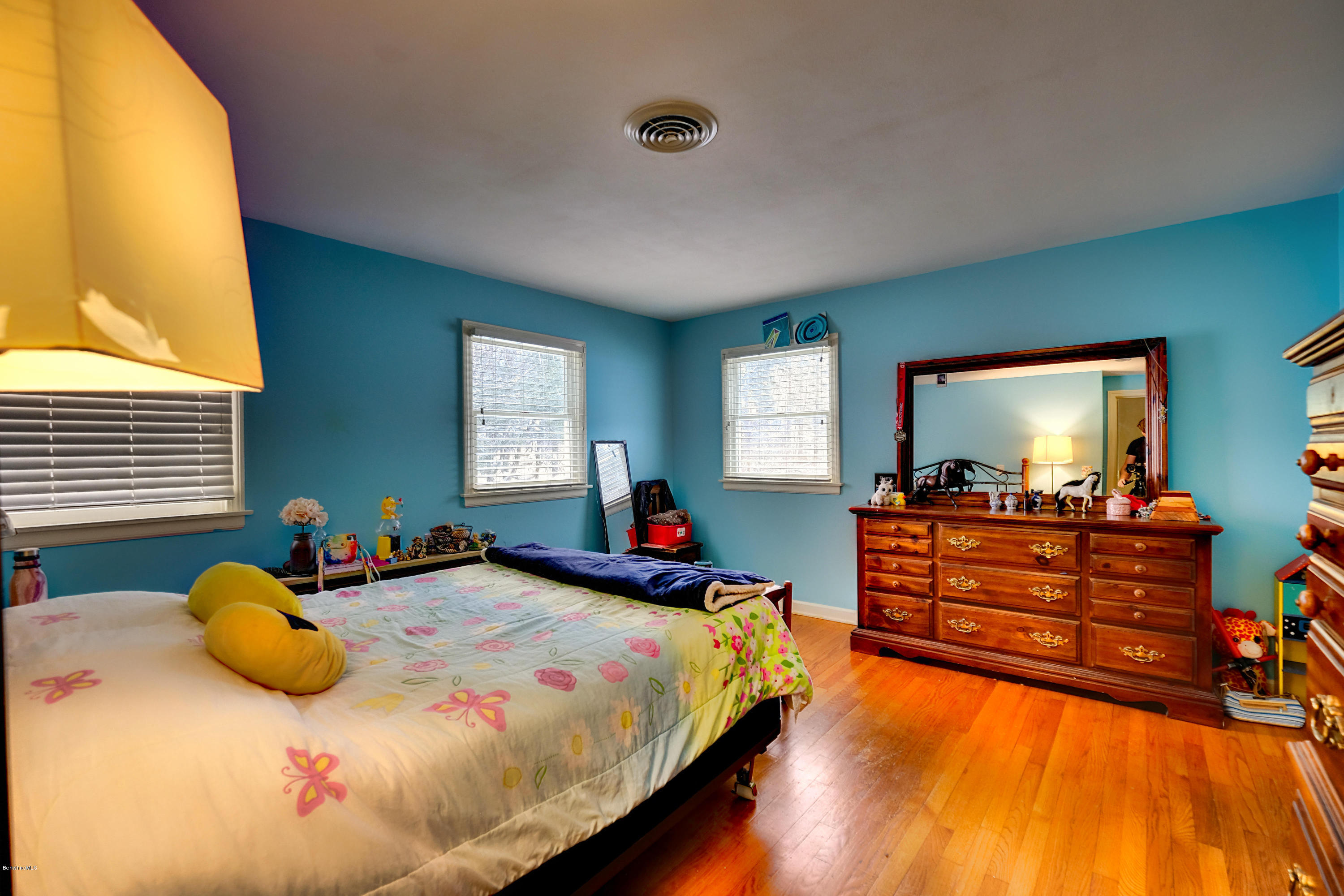 395 Devon Road Lee, MA 01238 - Photo 29 of 54 DSCF2084-1