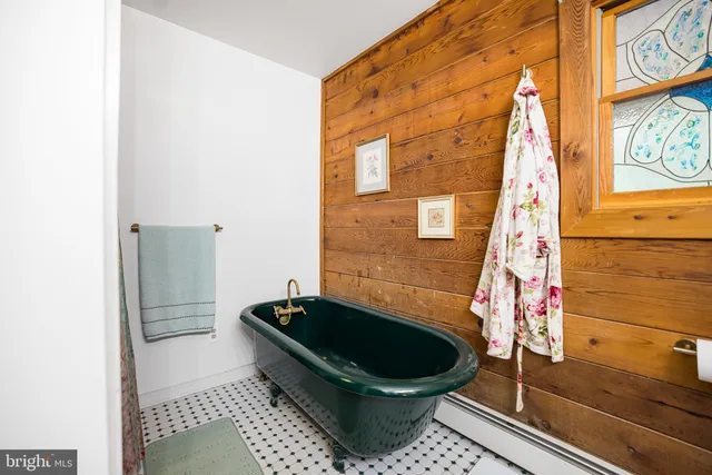 a room with a couch and a potted plant