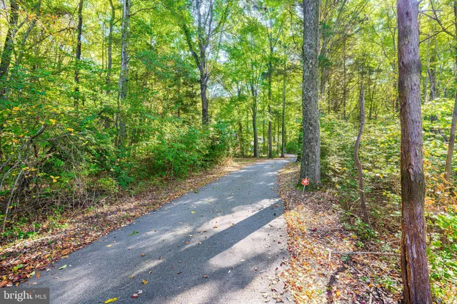 a view of road with trees