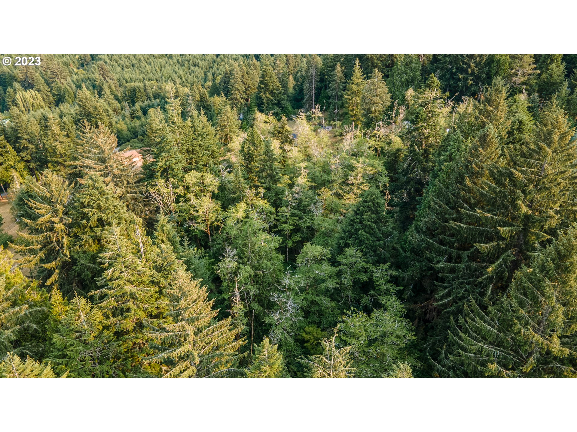 Autumn, Unit 600 Coos Bay, OR 97420 - Photo 18 of 28 Gallery Image 18