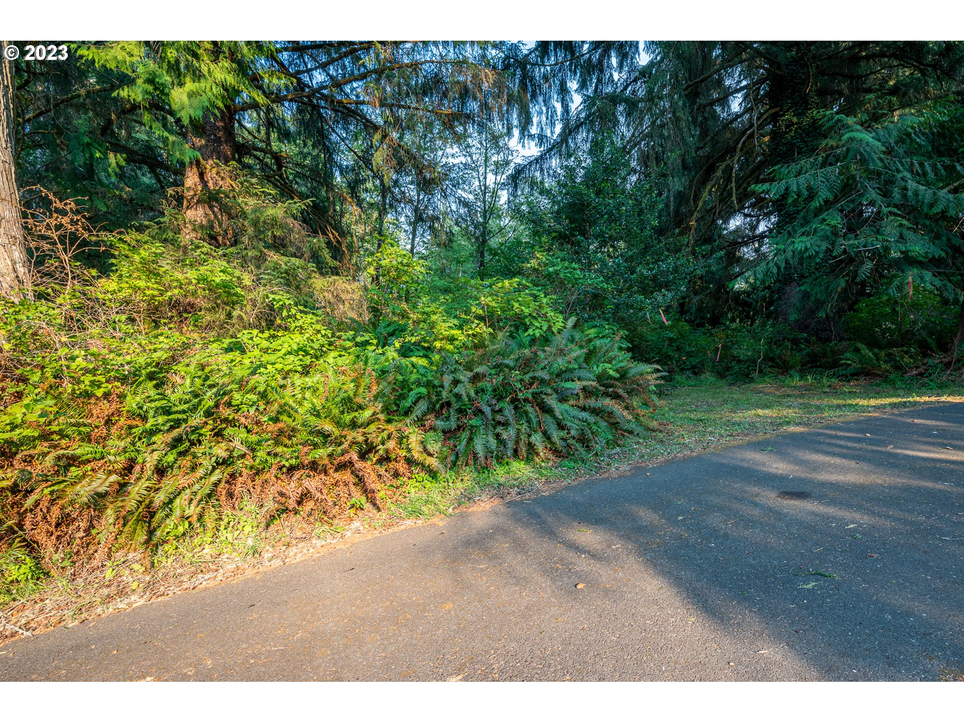 Autumn, Unit 600 Coos Bay, OR 97420 - Photo 21 of 28 Gallery Image 21