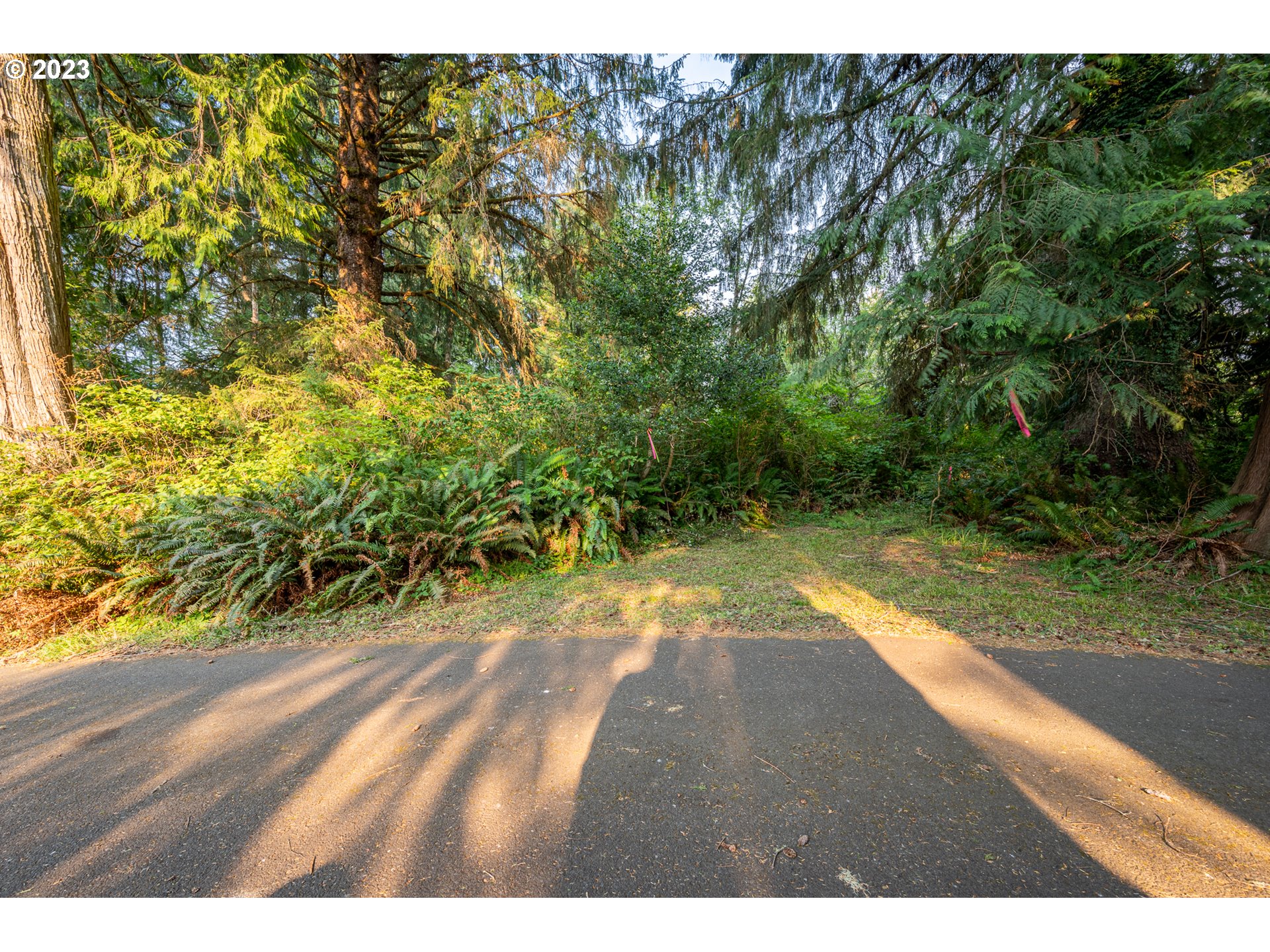 Autumn, Unit 600 Coos Bay, OR 97420 - Photo 22 of 28 Gallery Image 22