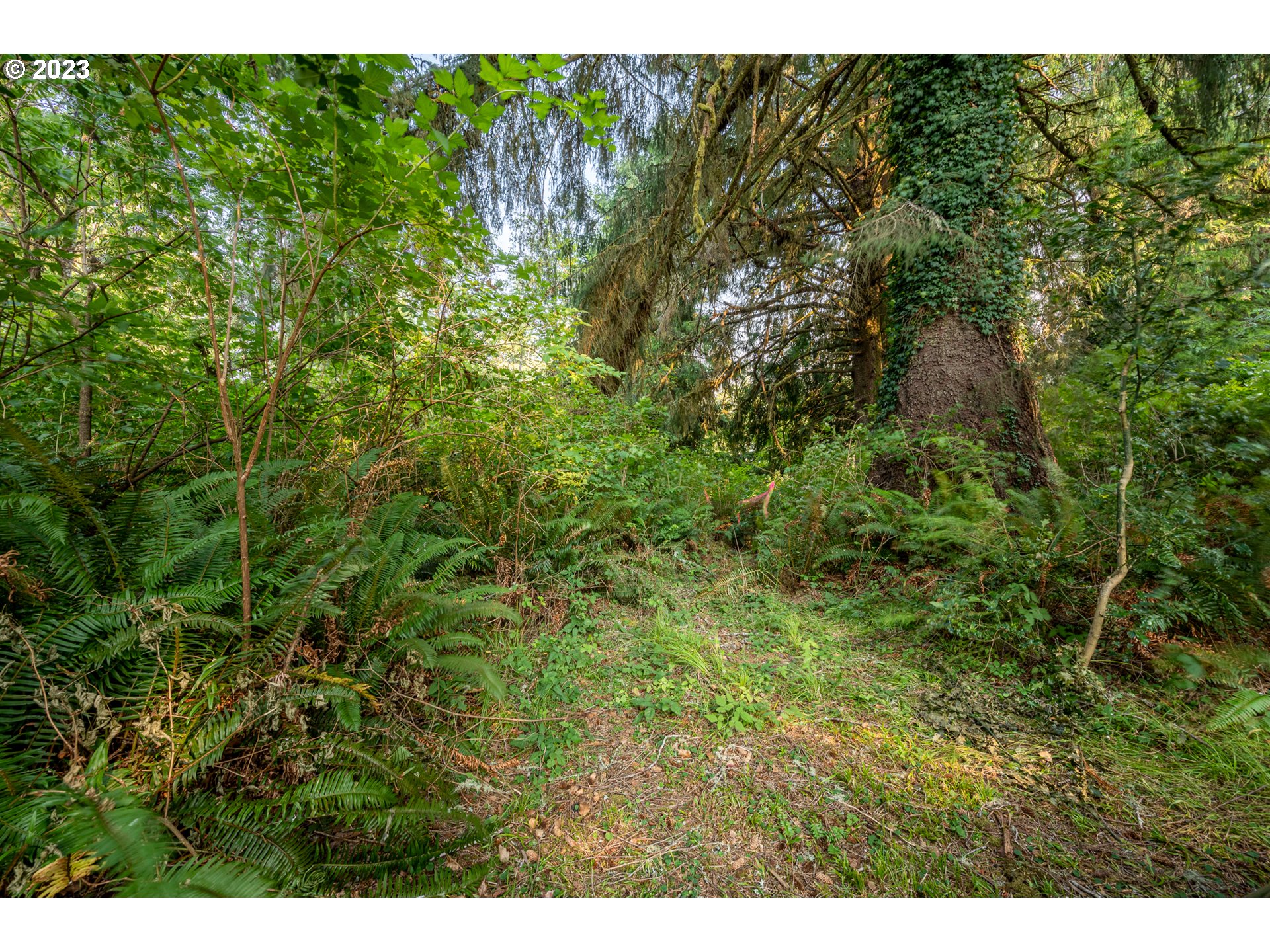 Autumn, Unit 600 Coos Bay, OR 97420 - Photo 23 of 28 Gallery Image 23