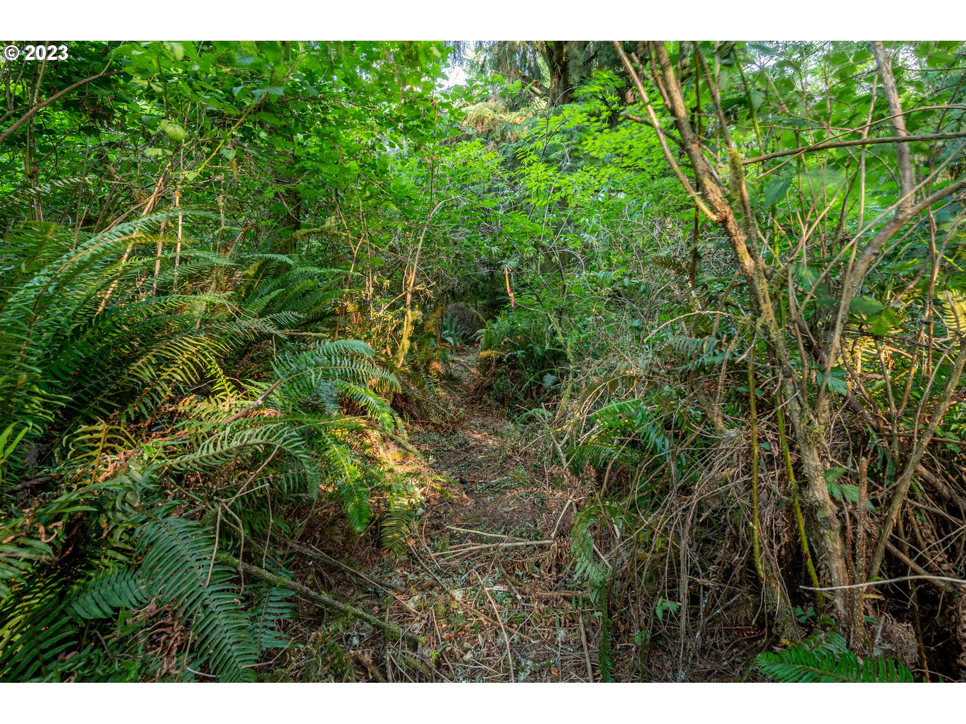Autumn, Unit 600 Coos Bay, OR 97420 - Photo 24 of 28 Gallery Image 24