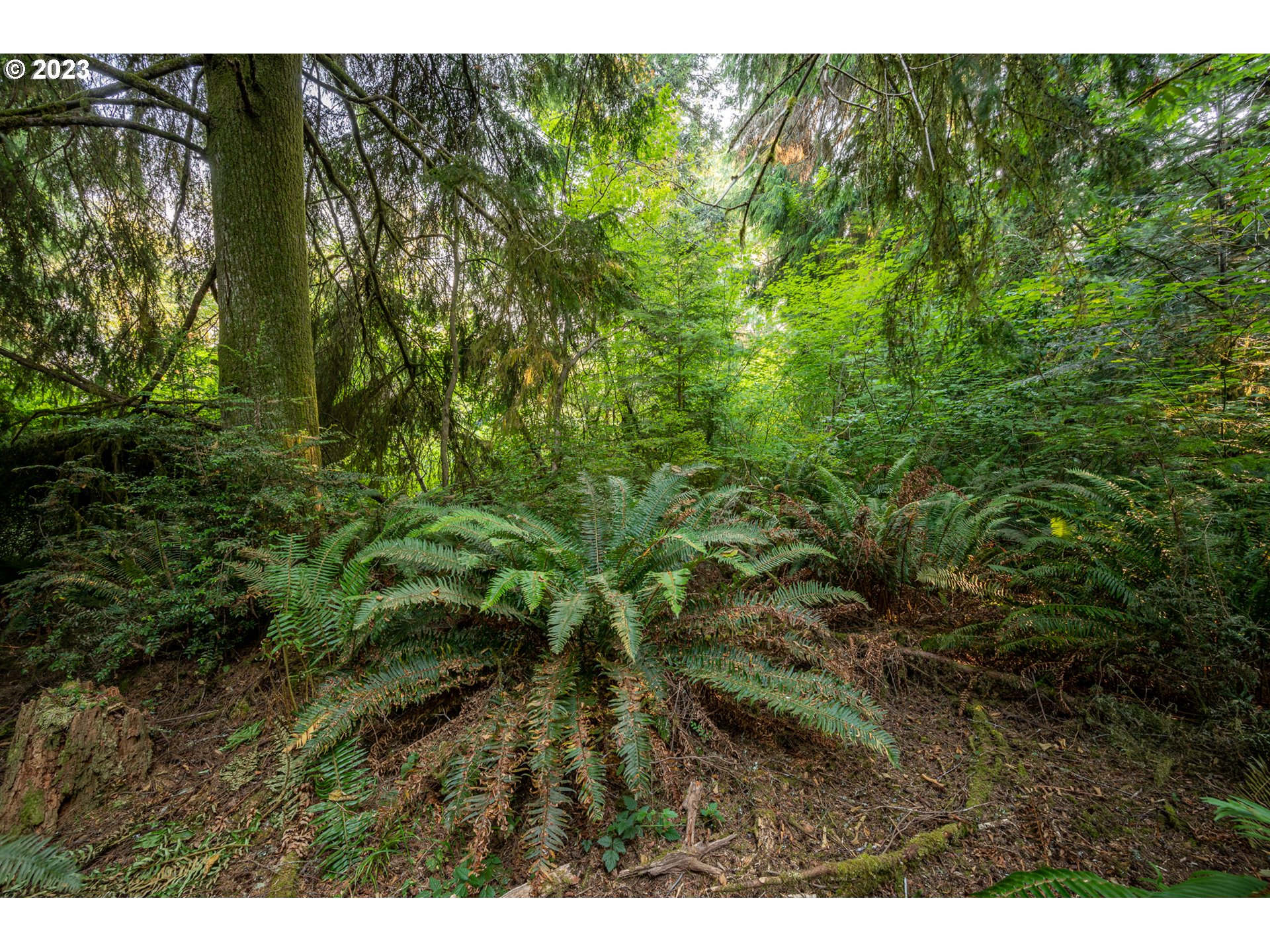 Autumn, Unit 600 Coos Bay, OR 97420 - Photo 25 of 28 Gallery Image 25