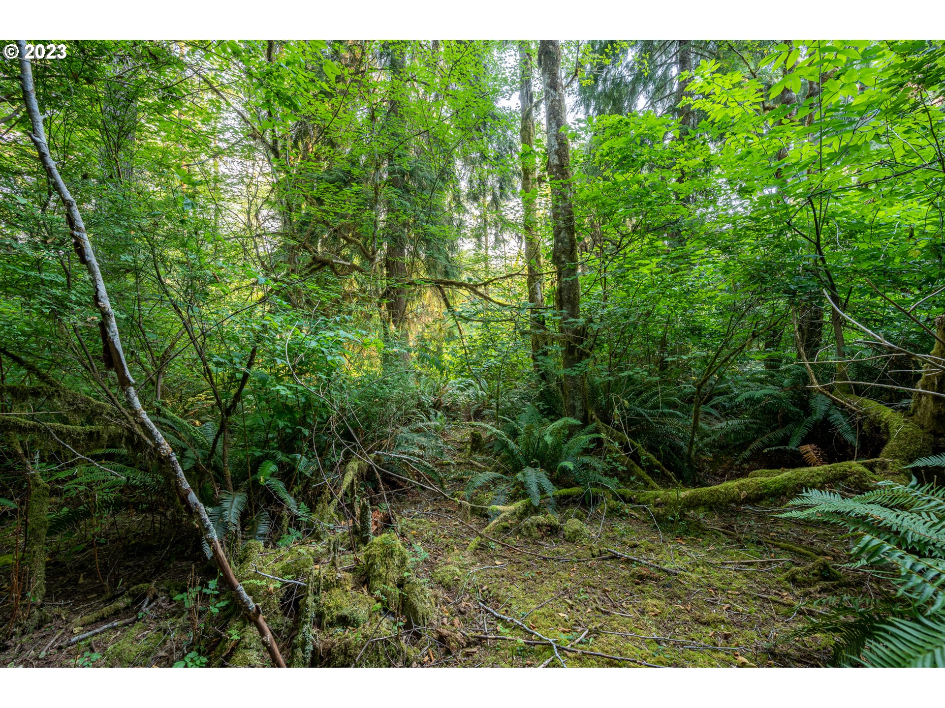 Autumn, Unit 600 Coos Bay, OR 97420 - Photo 26 of 28 Gallery Image 26