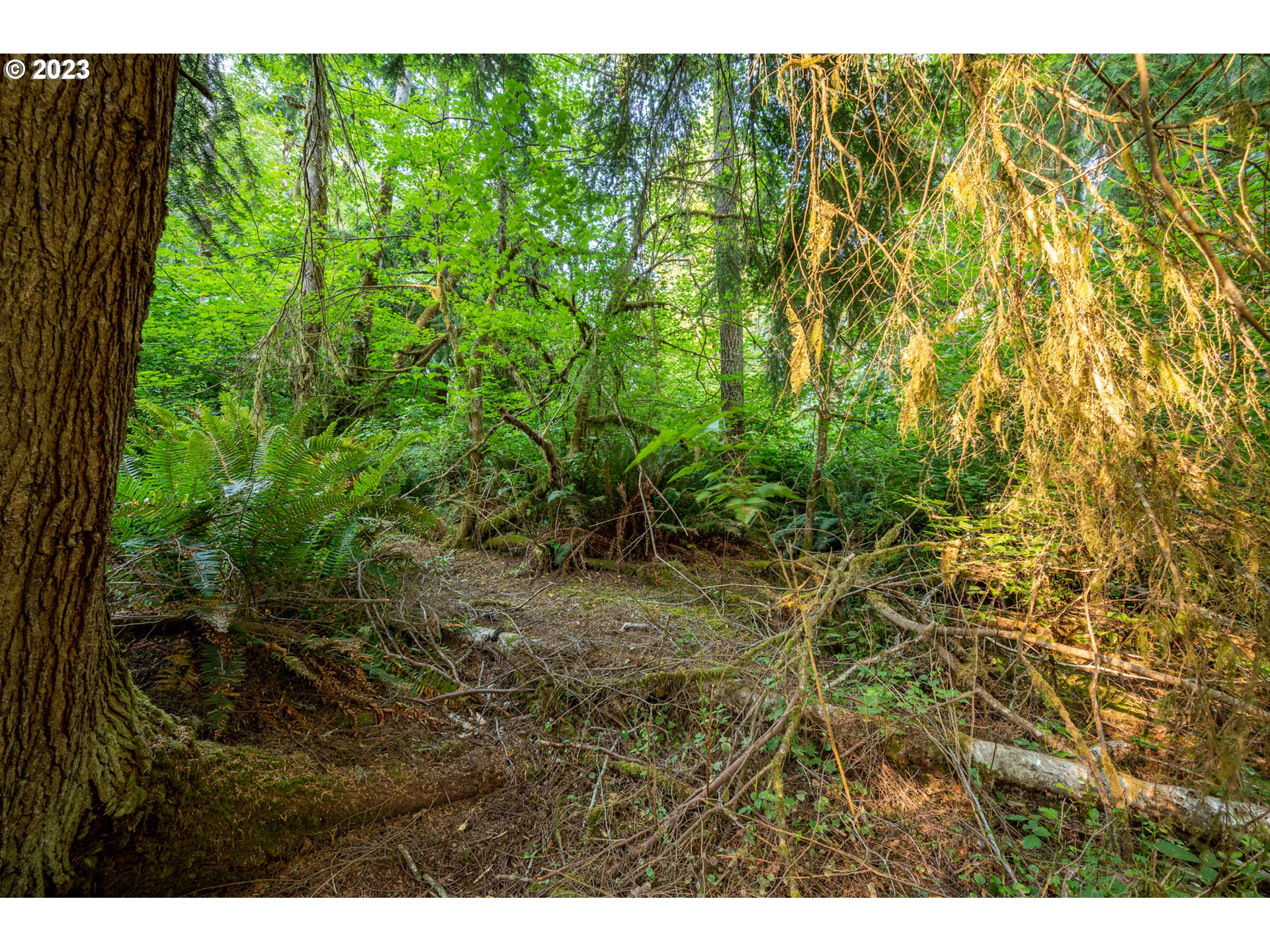 Autumn, Unit 600 Coos Bay, OR 97420 - Photo 27 of 28 Gallery Image 27