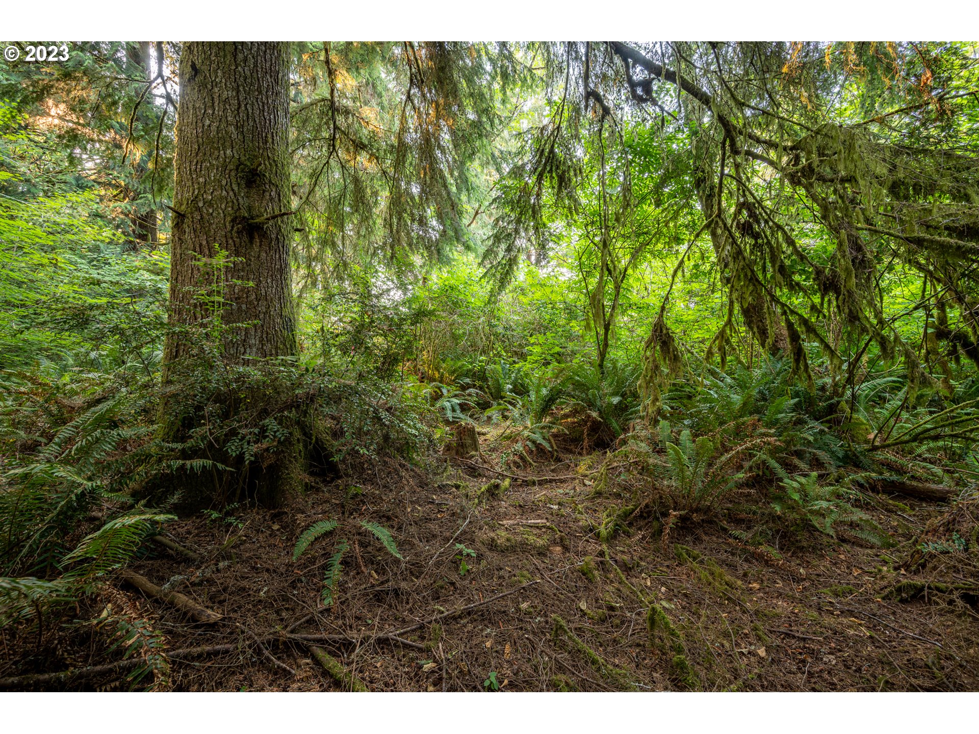 Autumn, Unit 600 Coos Bay, OR 97420 - Photo 28 of 28 Gallery Image 28