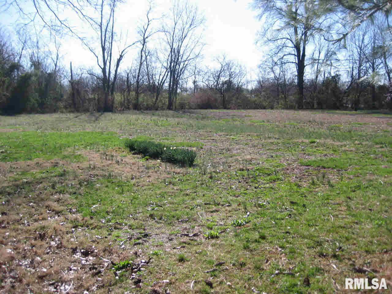 1775 North Reed Station Road Carbondale, IL 62901 - Photo 8 of 30
