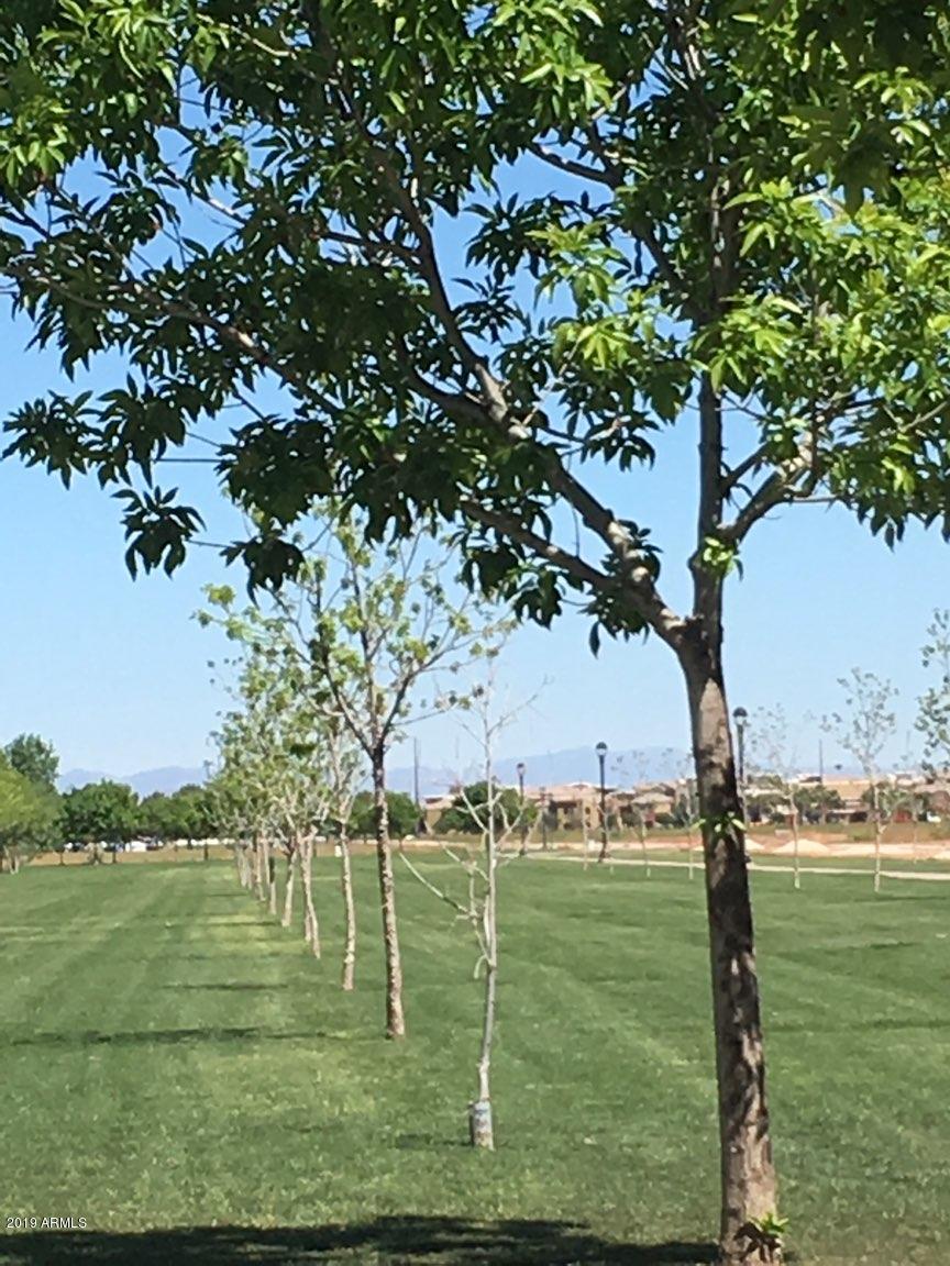 3512 East Appaloosa Road Gilbert, AZ 85296 - Photo 20 of 26 IMG_3175