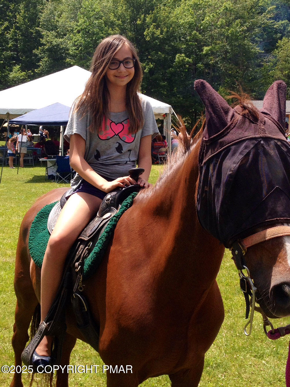 251 Bellingham Drive Bushkill, PA 18324 - Photo 52 of 53 a view of outdoor space and swimming pool