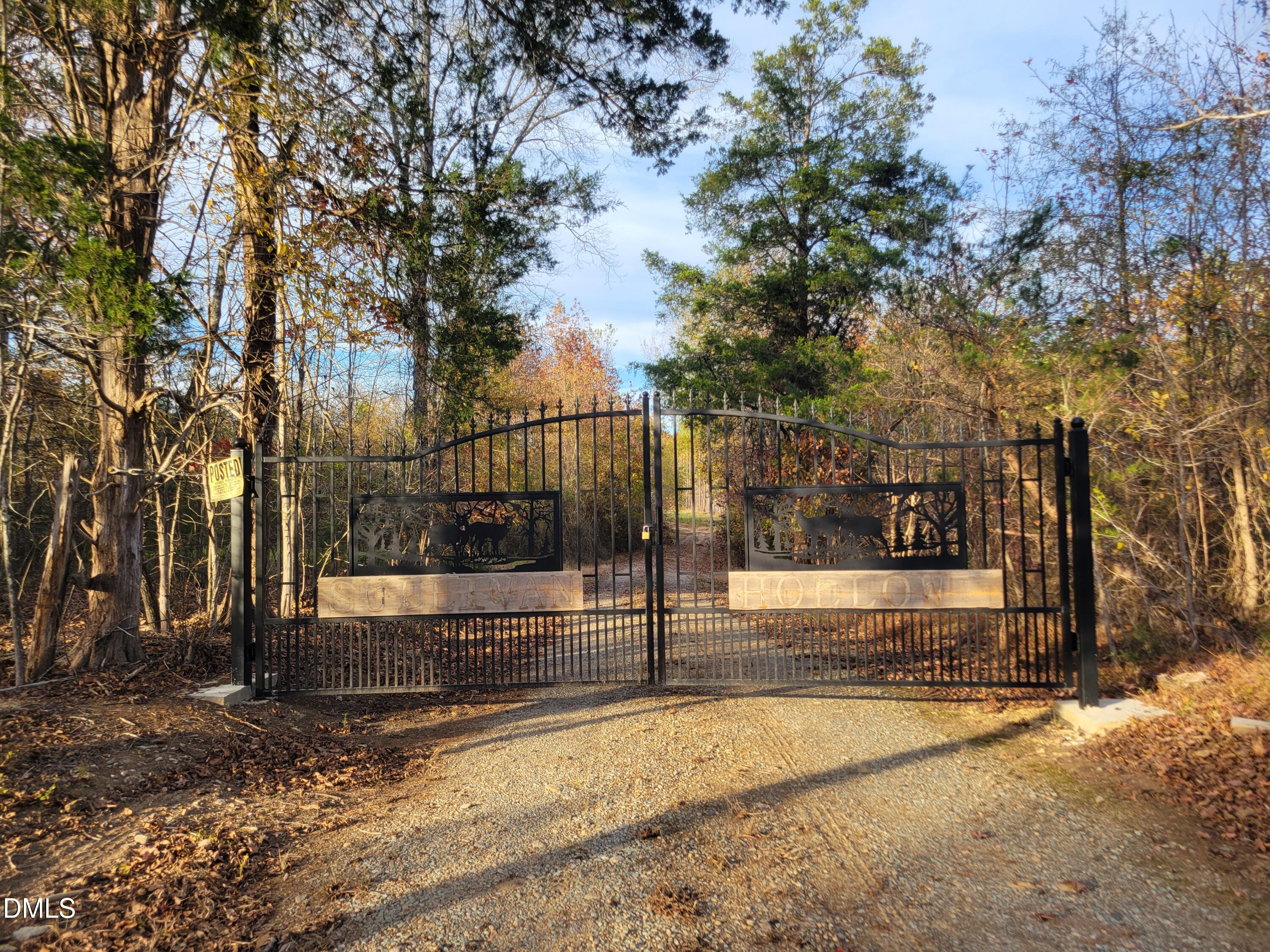 a view of a yard with large trees