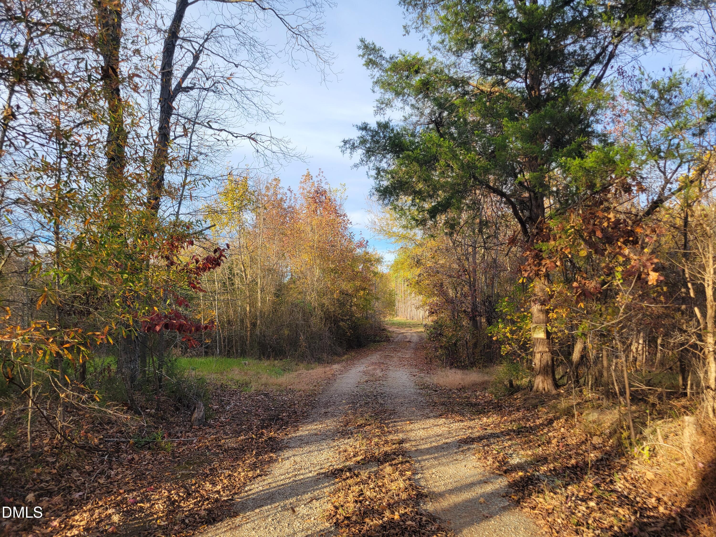 2081 Peed Road Rougemont, NC 27572 - Photo 11 of 42 a view of a yard with a tree