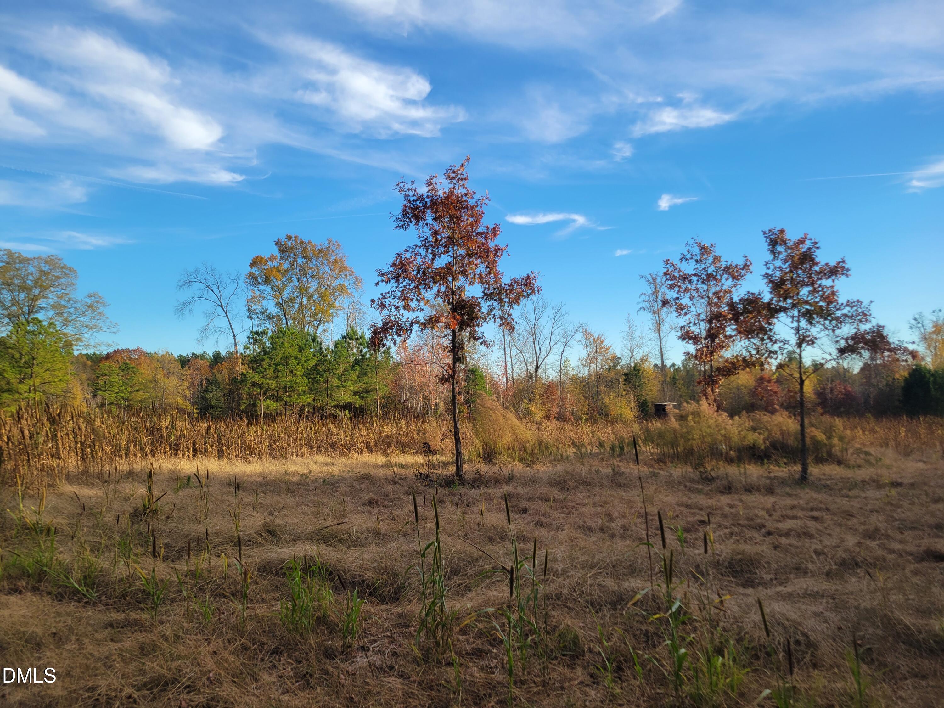 2081 Peed Road Rougemont, NC 27572 - Photo 15 of 42 a view of a yard with sunset view