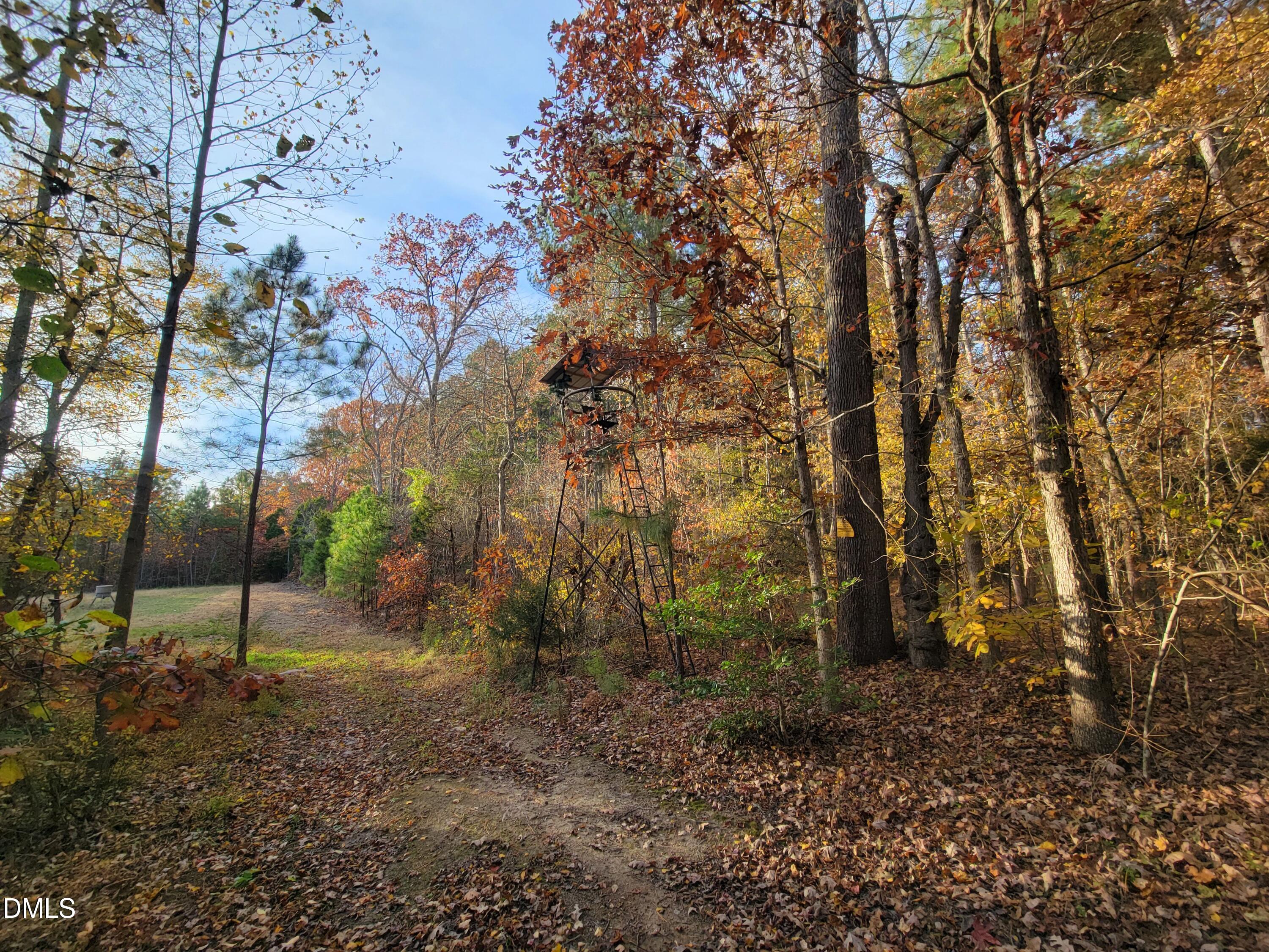 2081 Peed Road Rougemont, NC 27572 - Photo 20 of 42 a backyard of a house with lots of green space