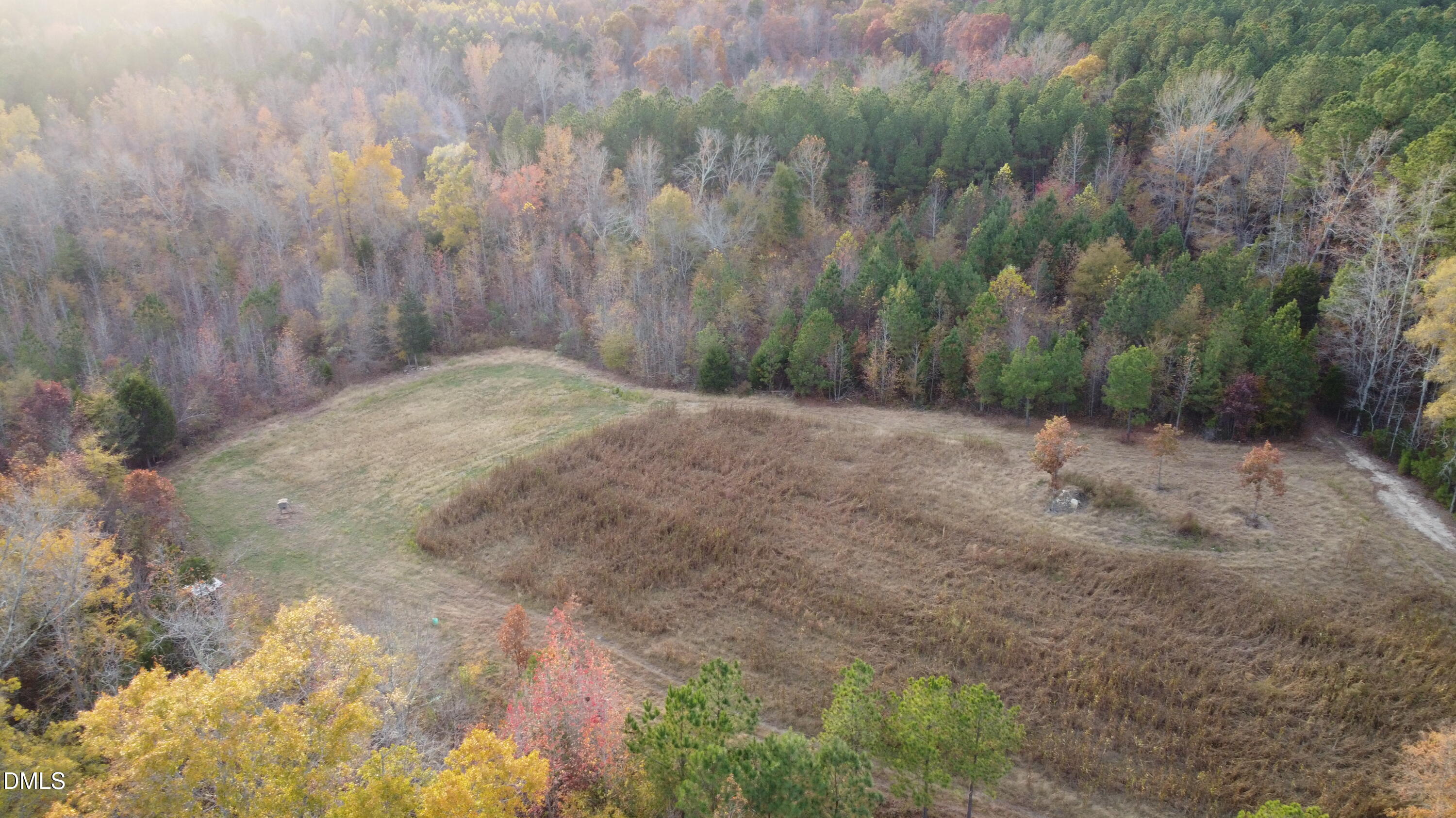 2081 Peed Road Rougemont, NC 27572 - Photo 2 of 42 a view of a dry yard with trees in the background