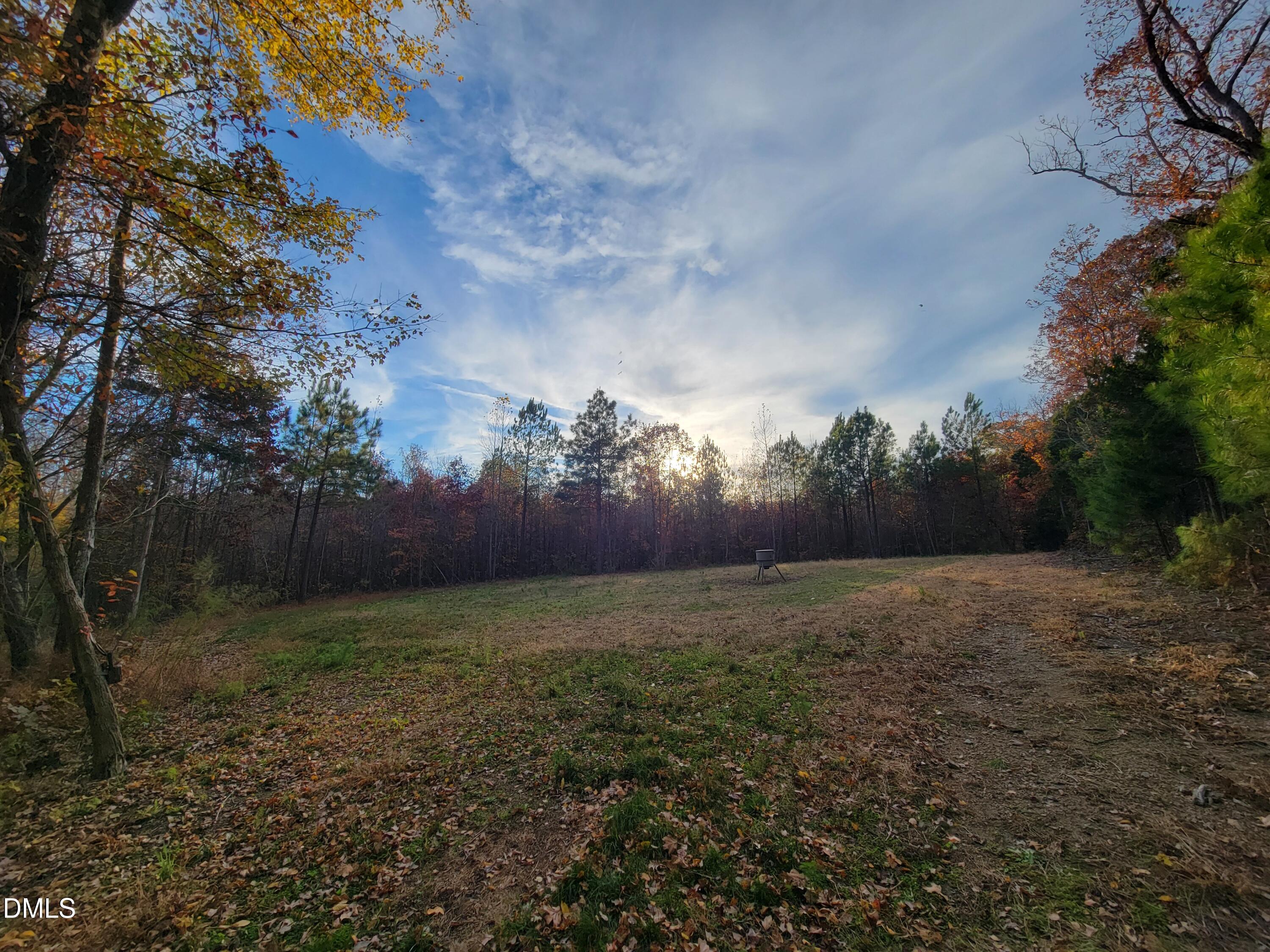 2081 Peed Road Rougemont, NC 27572 - Photo 21 of 42 a view of outdoor space and yard