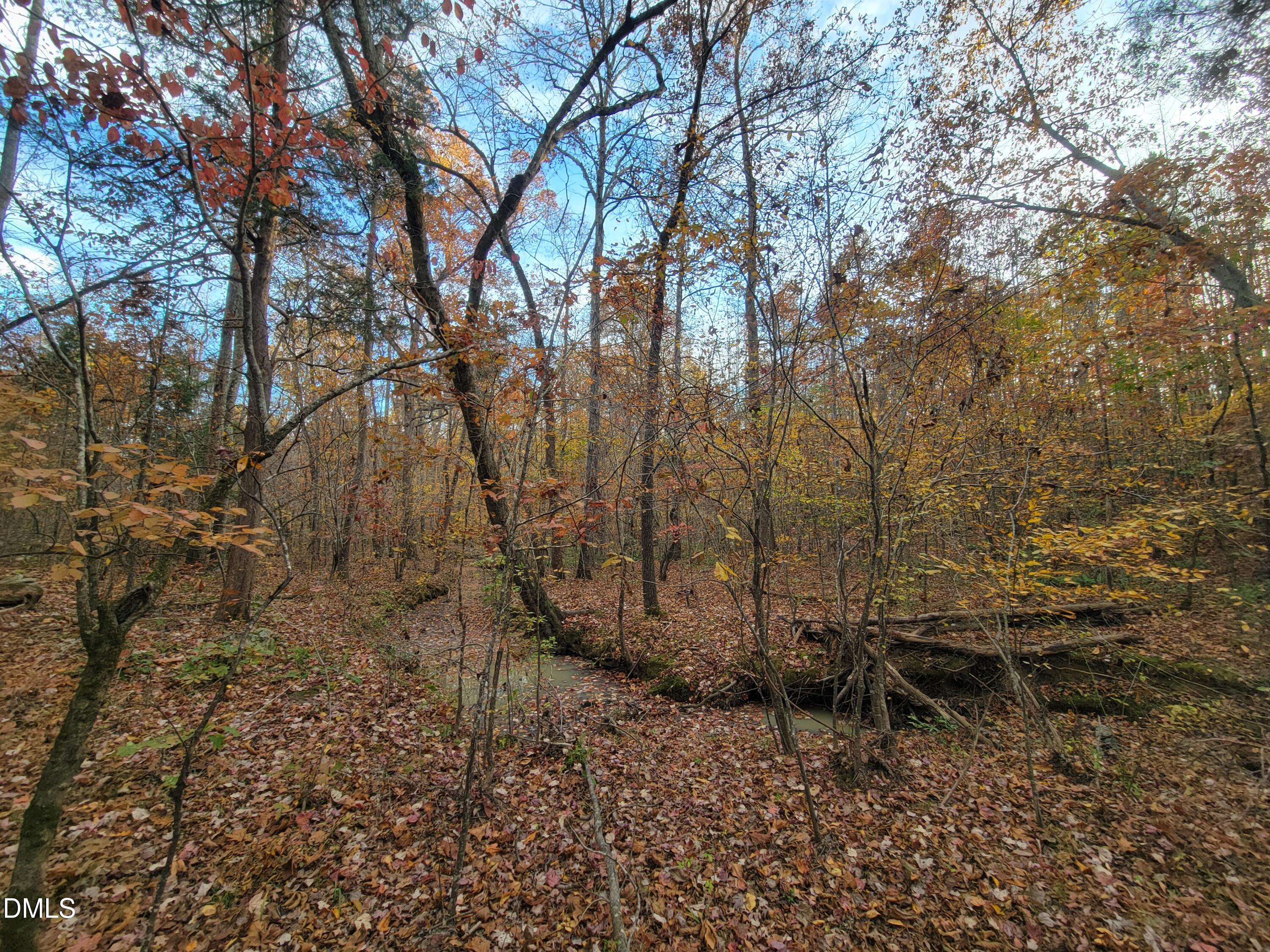 2081 Peed Road Rougemont, NC 27572 - Photo 23 of 42 a view of backyard of a house