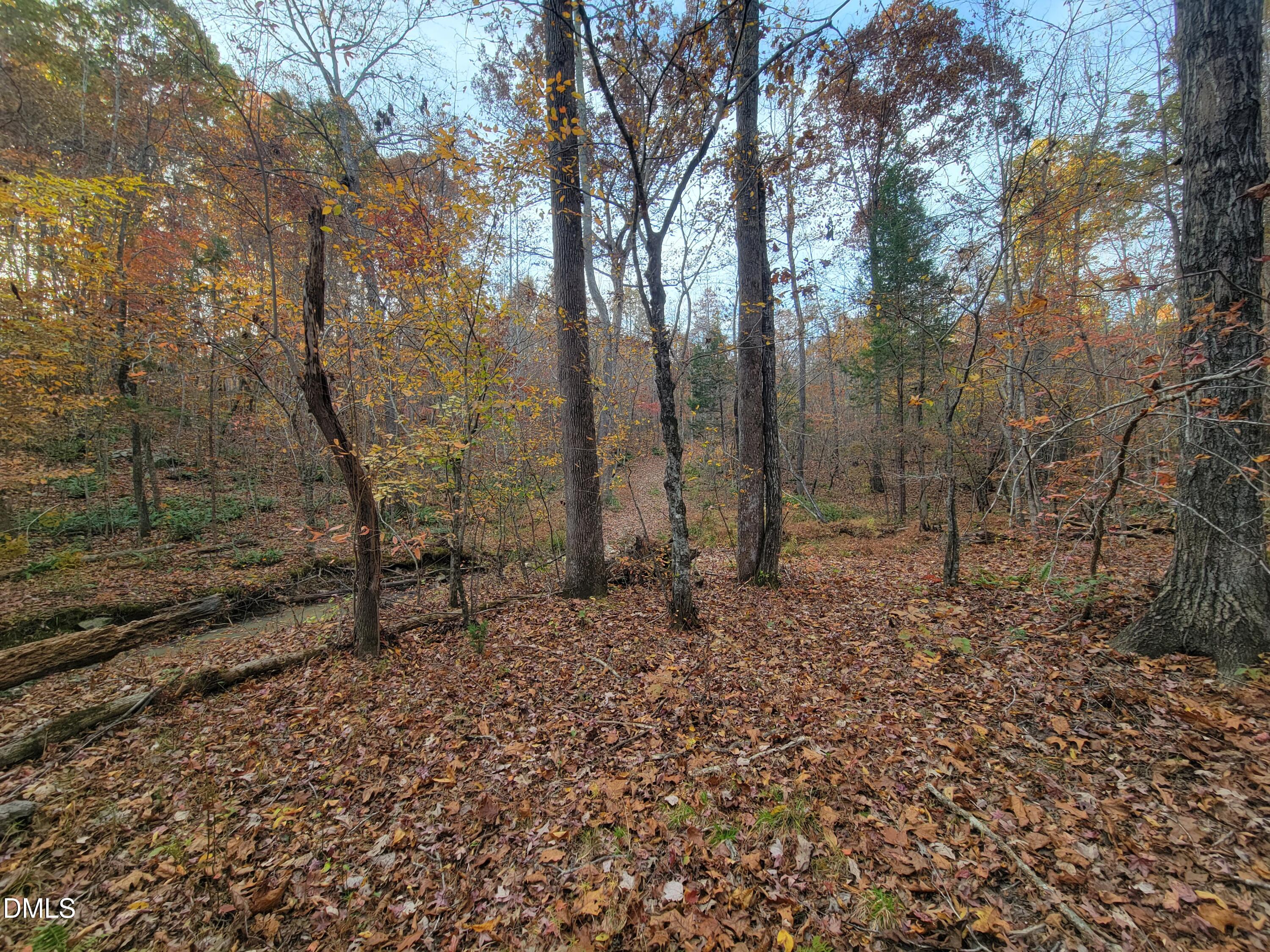 2081 Peed Road Rougemont, NC 27572 - Photo 25 of 42 a backyard of a house with lots of green space