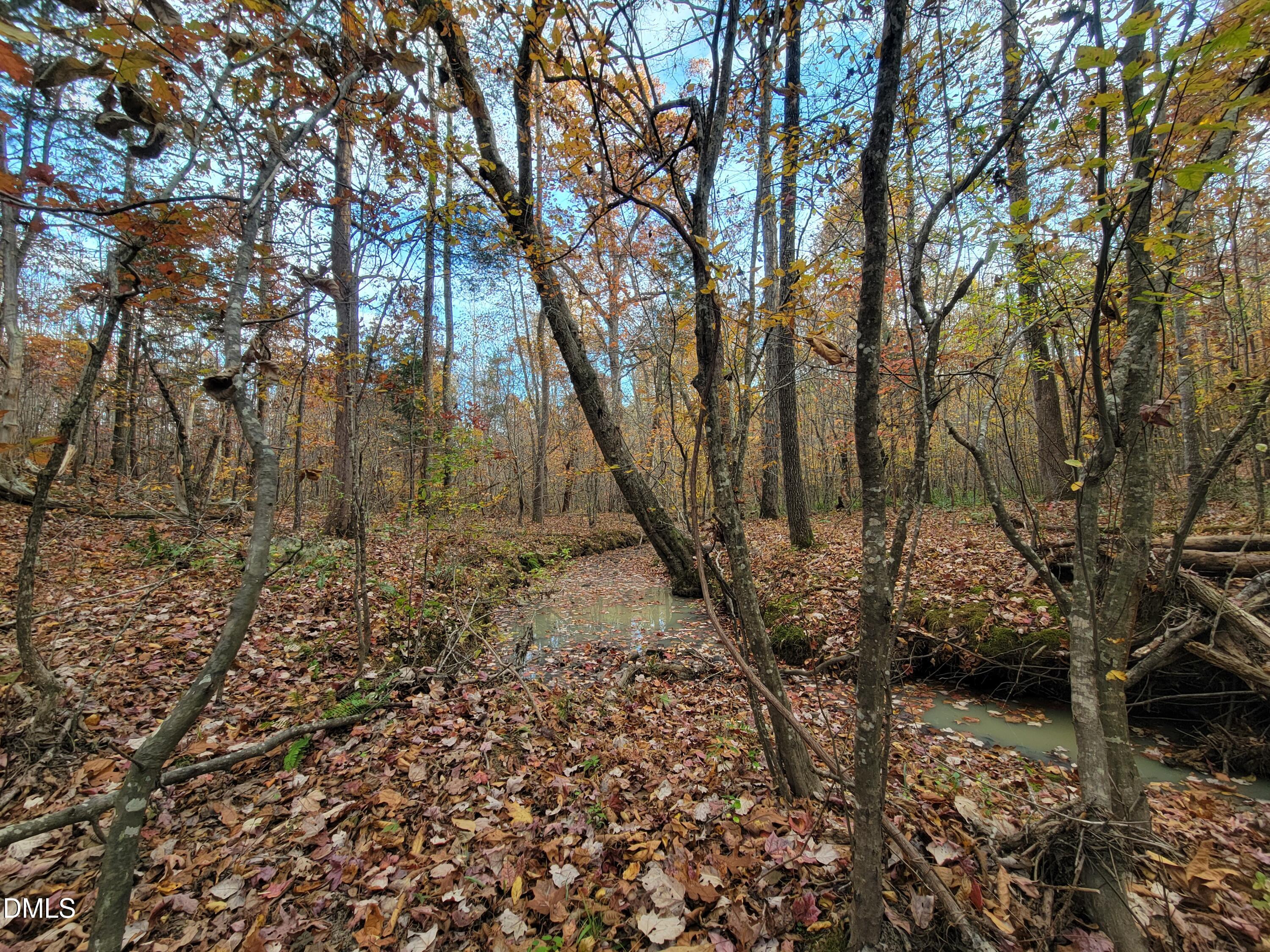 2081 Peed Road Rougemont, NC 27572 - Photo 26 of 42 a view of backyard with green space