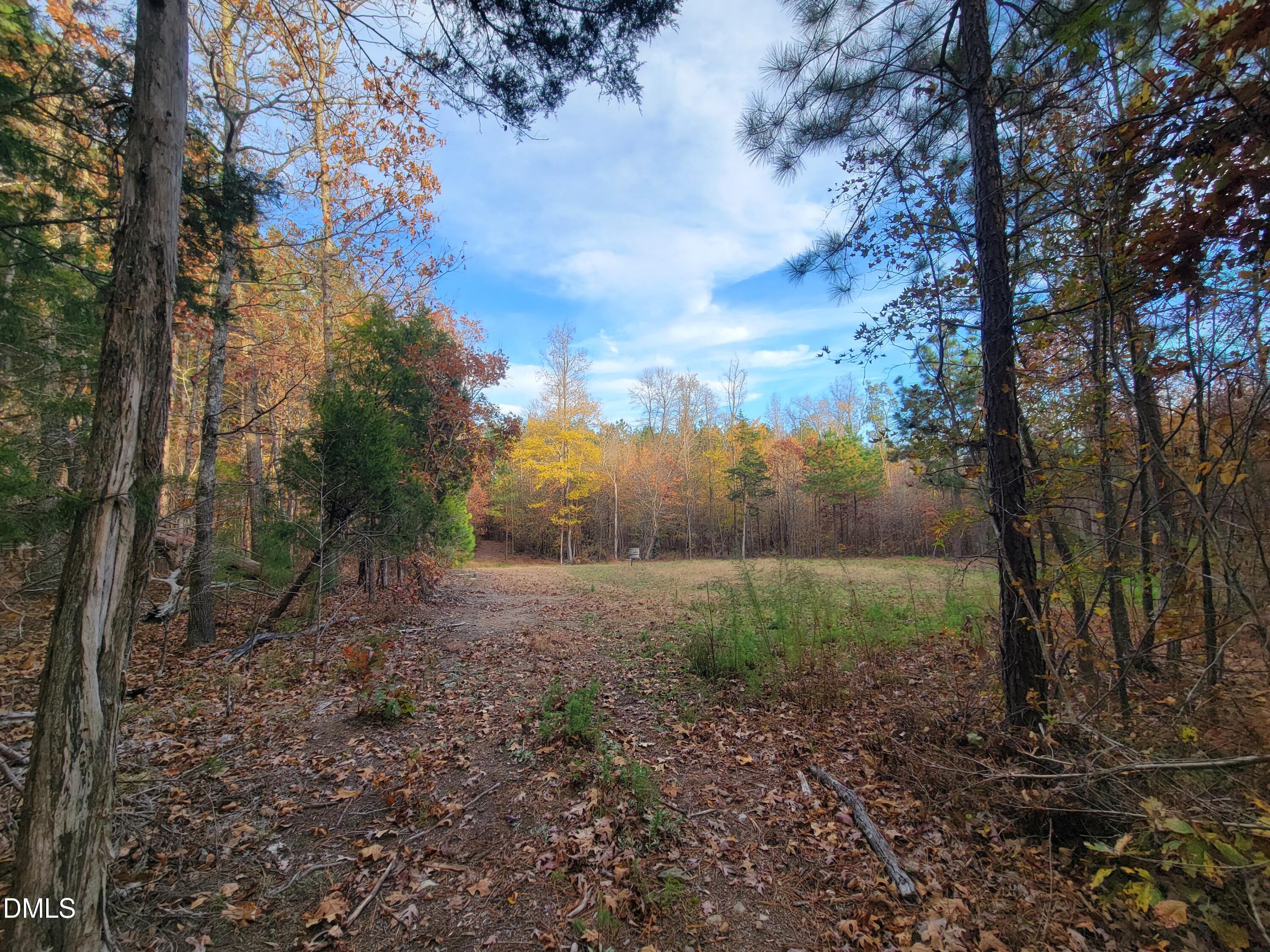 2081 Peed Road Rougemont, NC 27572 - Photo 27 of 42 a view of a yard