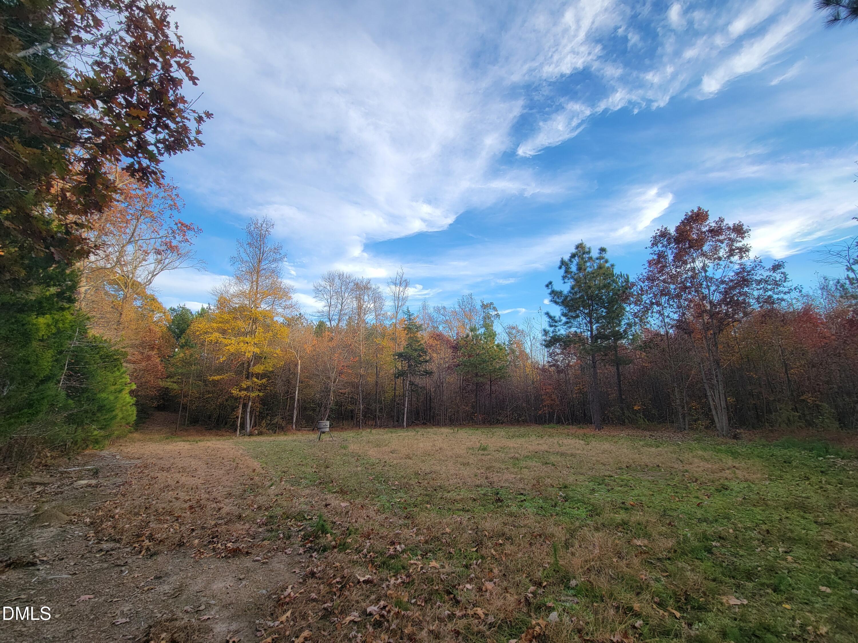 2081 Peed Road Rougemont, NC 27572 - Photo 28 of 42 a view of a backyard